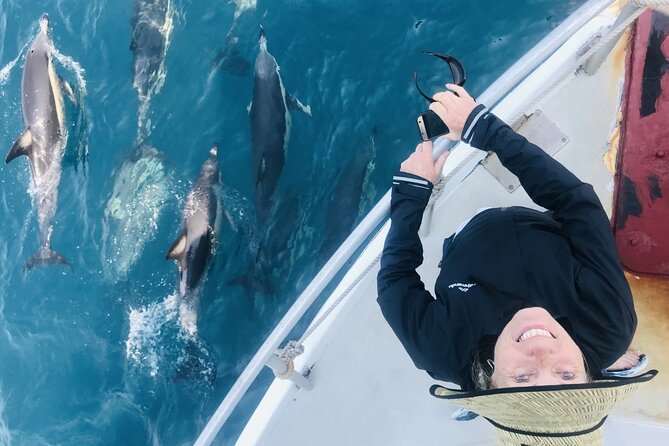 Dolphin & Wildlife Encounters - Why this Tauranga cruise is about more than dolphins
