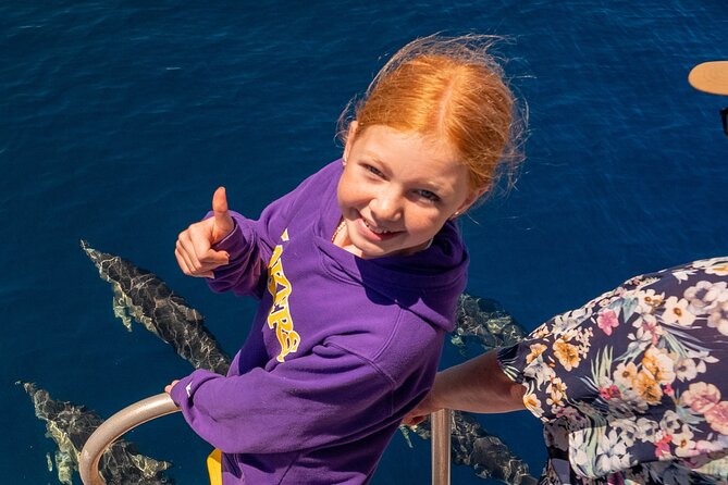 Dolphin & Wildlife Encounters - A closer look at the 18-metre Bay Explorer