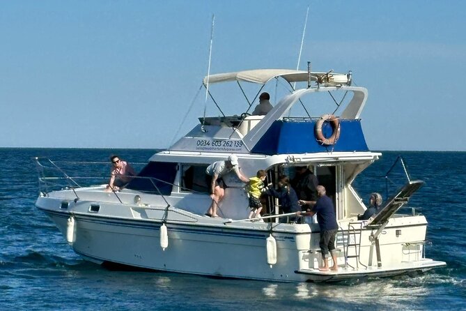 Dolphins and Sea Boat Adventure in Manilva Coast - Service that goes beyond the basic boat ride