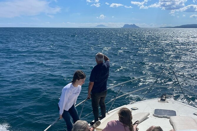 Dolphins and Sea Boat Adventure in Manilva Coast - Price and what the outing is worth