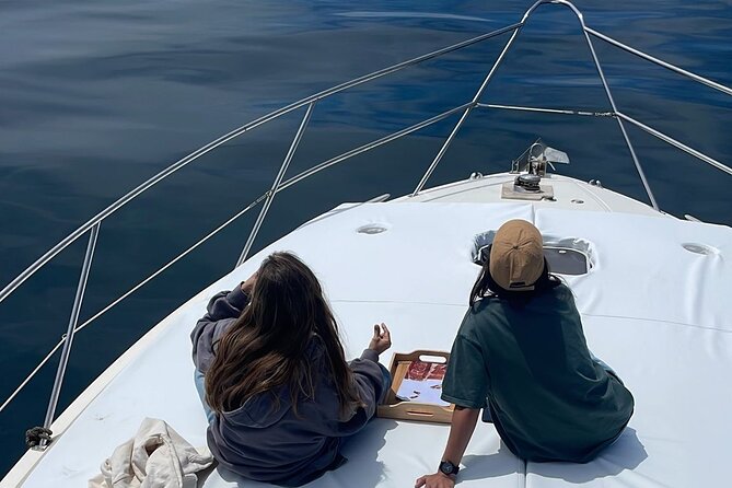 Dolphins and Sea Boat Adventure in Manilva Coast - The wildlife search, without a promise