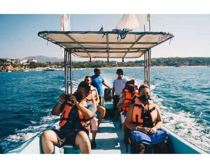 Dolphins and whales watching in Puerto Escondido. - Four pickup zones, one important confirmation