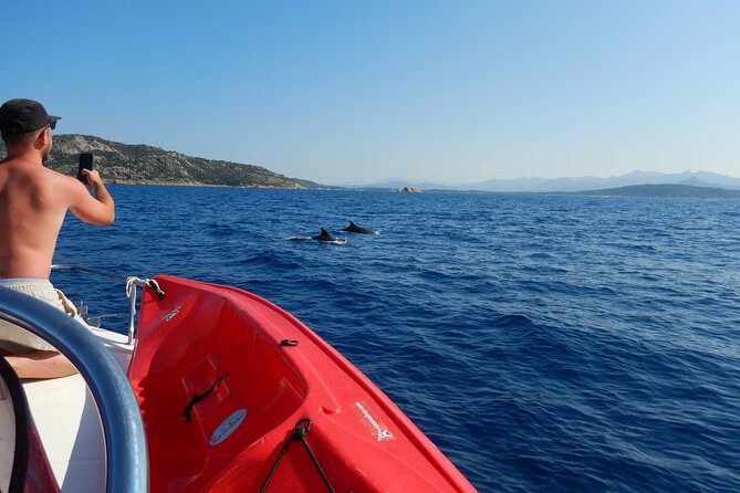 Dolphins Circus tour in Small group - Who will enjoy this private boat outing