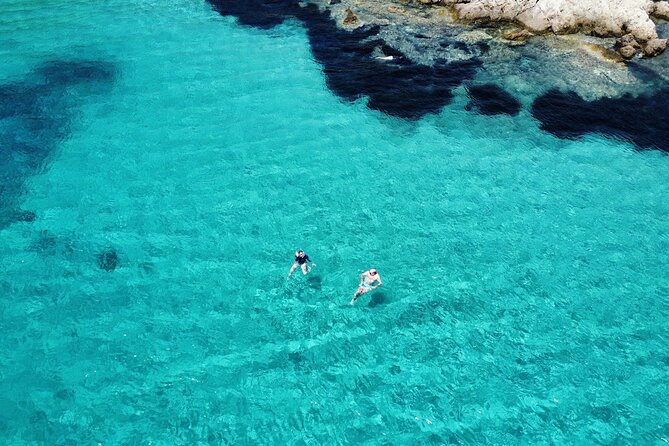 Dolphins Circus tour in Small group - Swimming and snorkeling at the chosen stops