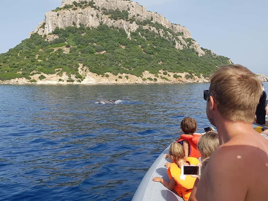 Dolphins: Dolphin Watching Tour and Capo Figari by Raft - Leaving from Centro Immersioni Figarolo