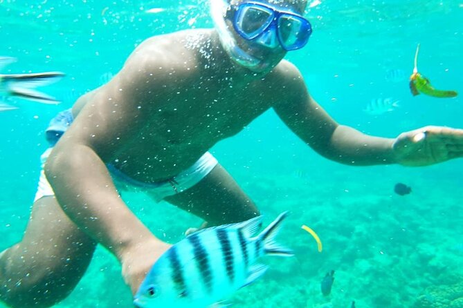 Dolphins +Jozani forest +Kuza cave +Paje beach + Rock restaurant - A fast, full day across southern Zanzibar