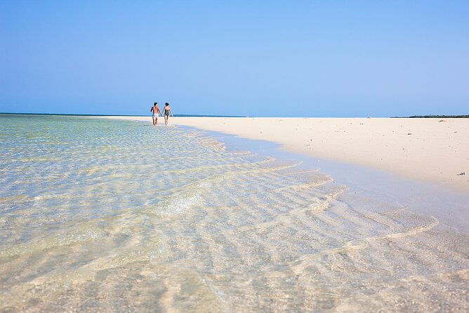 Dolphins +Jozani forest +Kuza cave +Paje beach + Rock restaurant - The Rock Restaurant and lunch with an Indian Ocean view