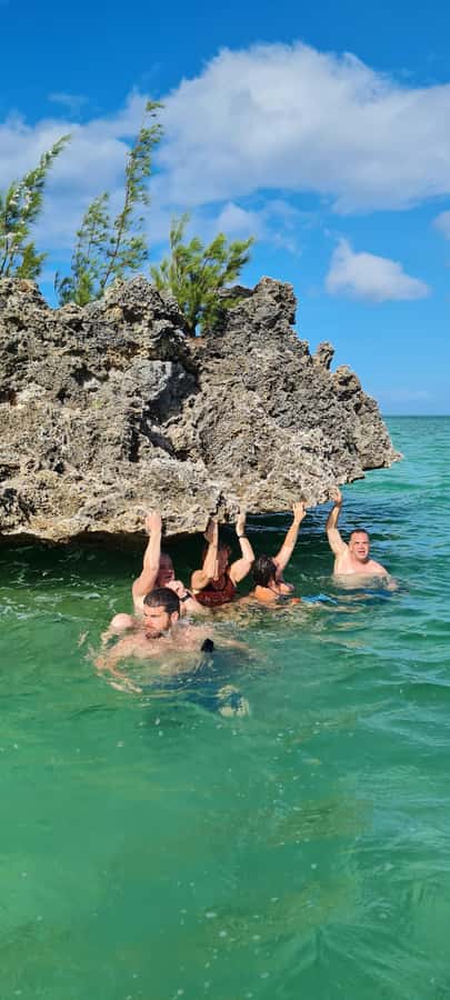 Dolphins: Private, Snorkel, CrystalRock, ileoBenitiers,lunch - Crystal Rock and the changing colors of the sea
