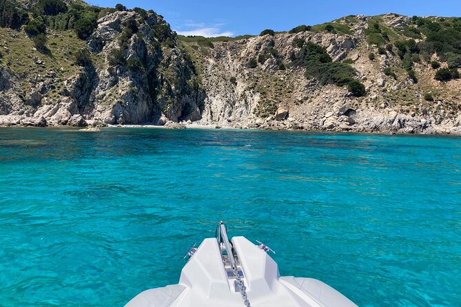 Dolphins Rib boat (up 6 people) Private - A skipper can shape the whole experience