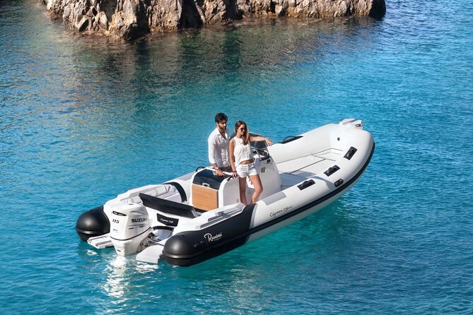 Dolphins Rib boat (up 6 people) Private - Timing, pickup, and what to bring