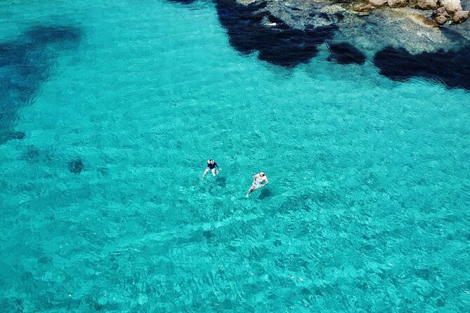 Dolphins Rib boat (up 6 people) Private - Snorkeling around Figarolo Island