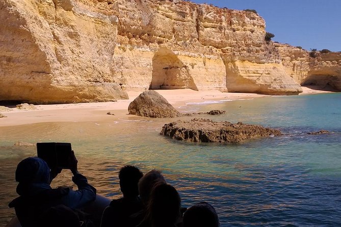 Dolphins Search and Benagil Caves from Albufeira - Searching for dolphins in the open water