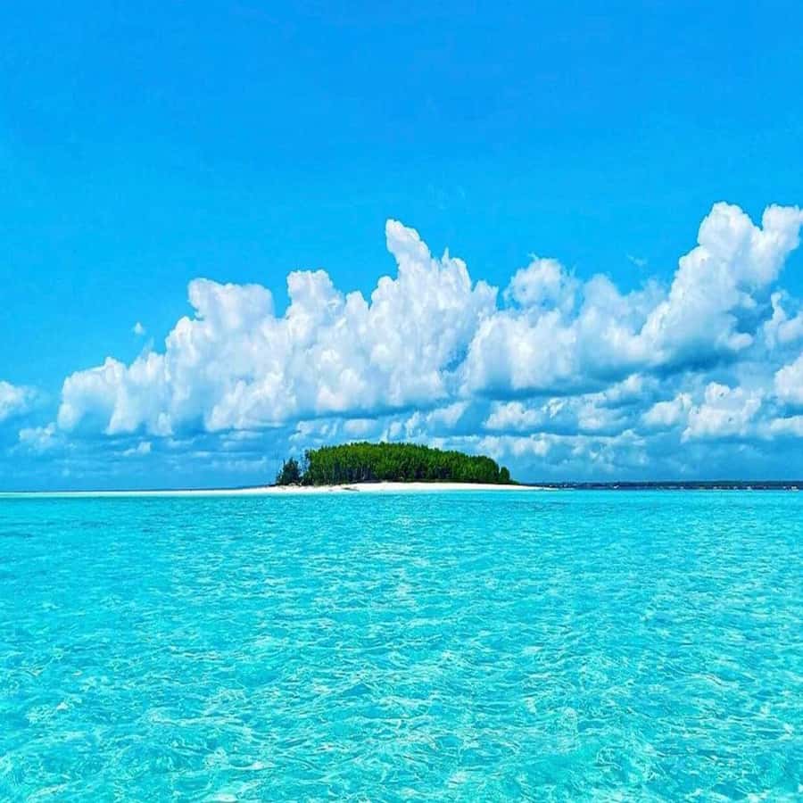 Dolphins & Snorkeling Zanzibar: Mnemba Island Tour - Why Mnemba works as a half-day outing