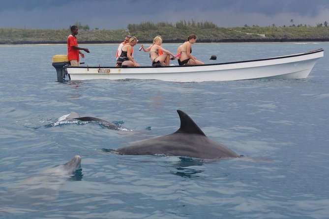 Dolphins Tour - Reaching Kizimkazi from your Zanzibar hotel