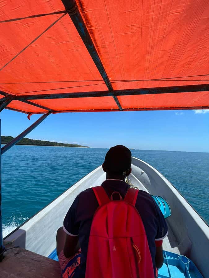 Dolphins tour and turtles swimming in kizimkazi - Swimming with turtles at Salaam Cave Aquarium