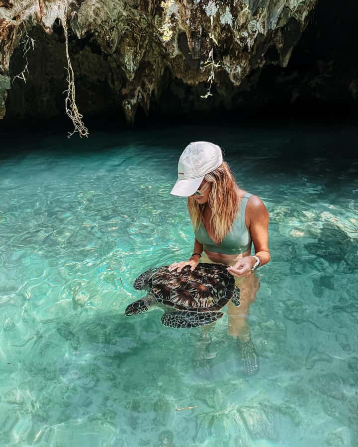Dolphins tour + mnemba island snorkeling + salaam turles - Key points to know before you book