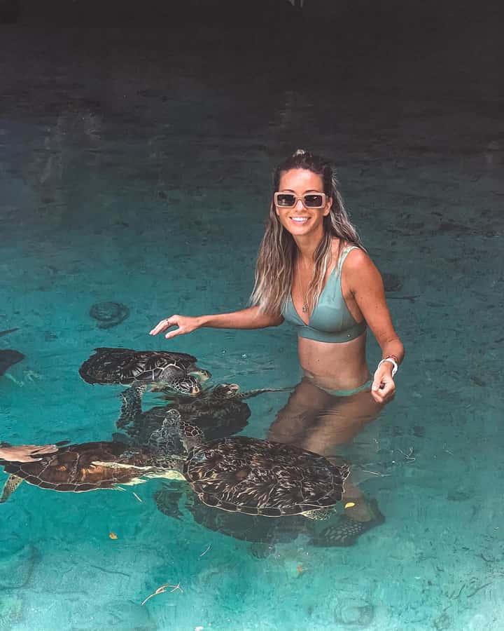 Dolphins tour + mnemba island snorkeling + salaam turles - Hotel pickup makes the morning easier