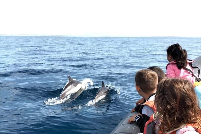 Dolphins Watching - How long the outing takes