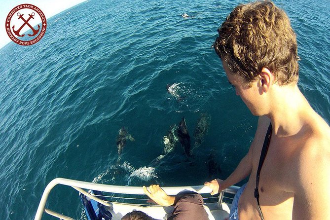 Dolphins Watching in the National Park Brijuni from Pula - What makes this Pula cruise worth considering