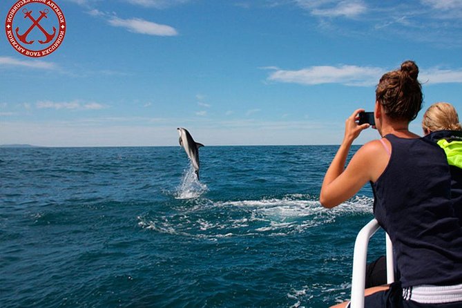 Dolphins Watching in the National Park Brijuni from Pula - Watching dolphins around Brijuni National Park