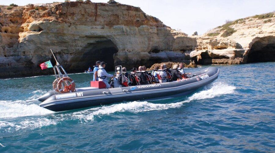 Dolphins Watching - Portimão - Why wild dolphins make the trip worthwhile
