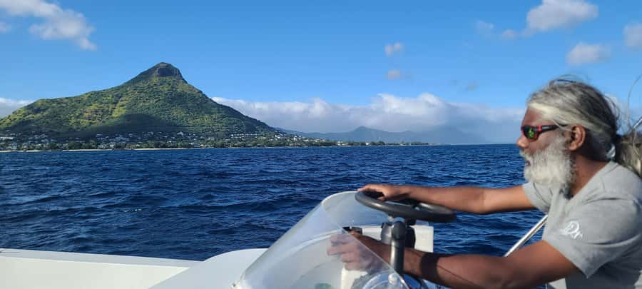 Dolphins & Whales, Private Tour Snorkeling - Booking advice and final verdict