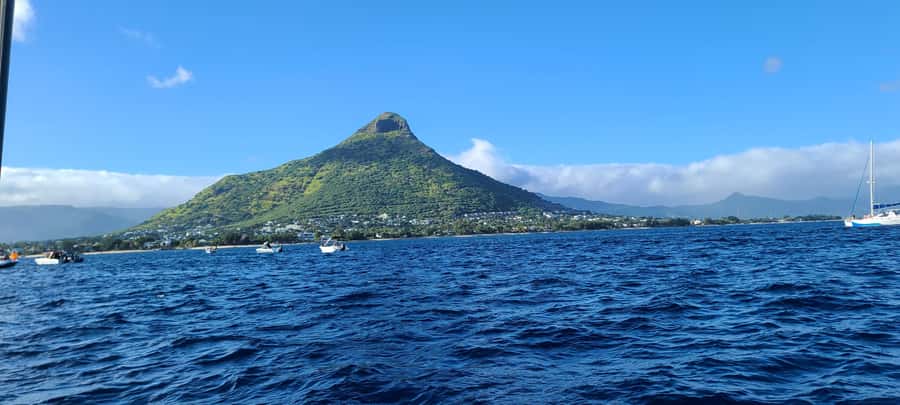 Dolphins & Whales, Private Tour Snorkeling - Swimming with spinner dolphins