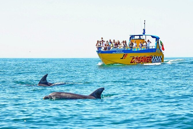 Dreamer Cave and Dolphins Boat Tour Ticket Albufeira - Key points before you book