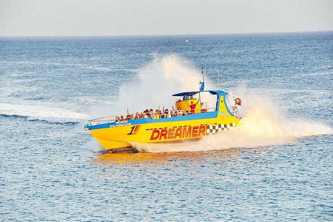 Dreamer Cave and Dolphins Boat Tour Ticket Albufeira - Is $42.14 good value?