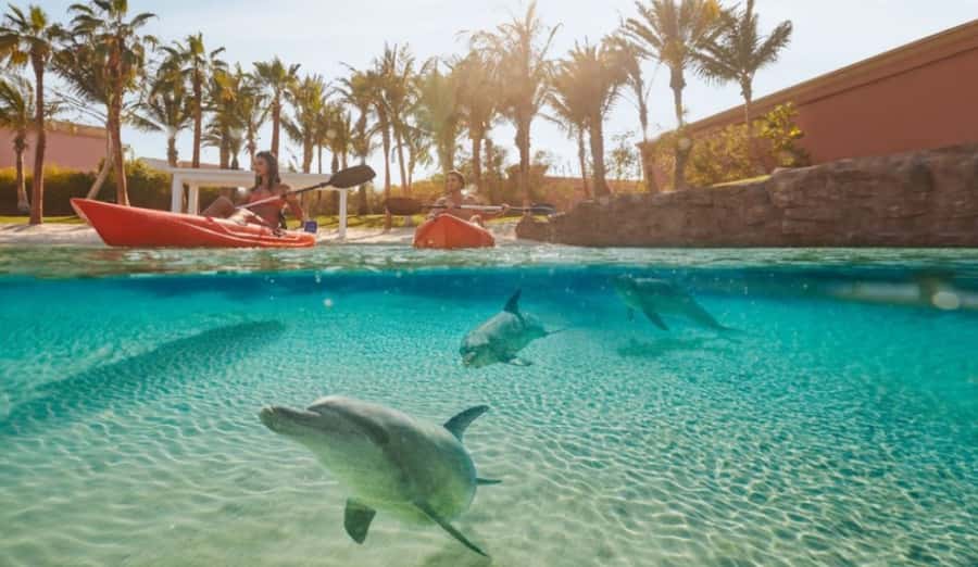 Dubai: Atlantis Dolphin Kayak Trip & Aquaventure Waterpark - Kayaking beside dolphins at Dolphin Bay Lagoon