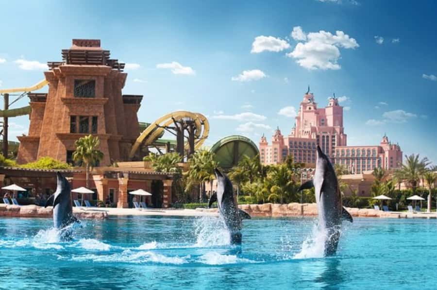 Dubai: Atlantis Dolphin Kayak Trip & Aquaventure Waterpark - From the lagoon to Aquaventure’s 105 attractions
