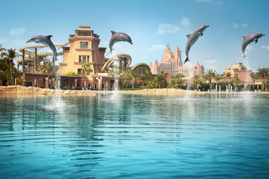 Dubai: Dolphin Encounter & Aquaventure Waterpark Ticket - Planning your day around heat and crowds