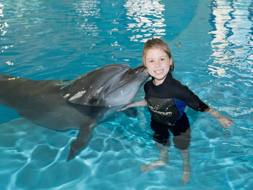 Dubai: Dubai Dolphinarium Dolphin, Seal & Bird Show Tickets - A Simple Visit at Creek Park Gate 1