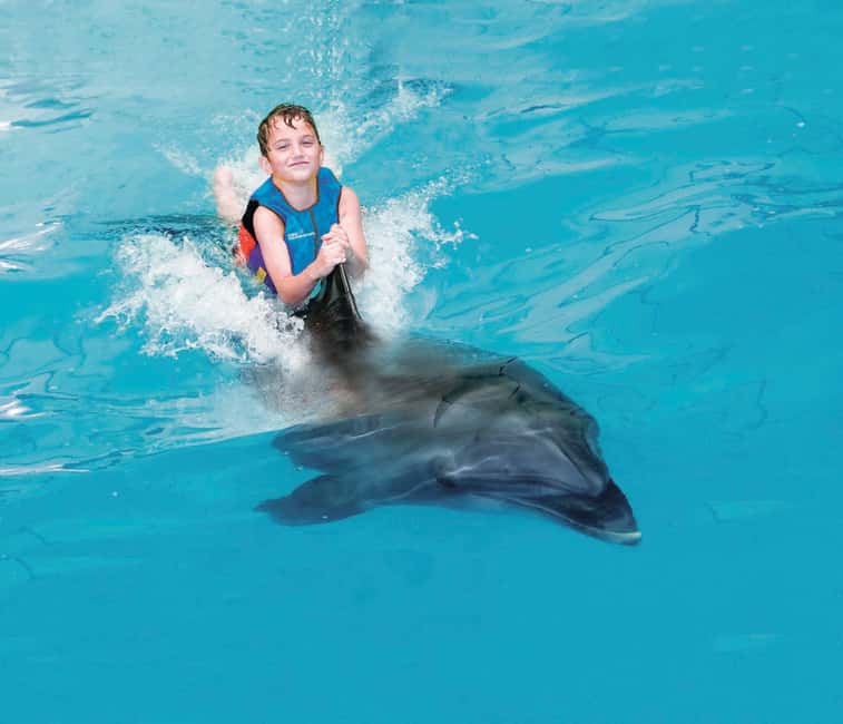 Dubai: Dubai Dolphinarium Dolphin, Seal & Bird Show Tickets - Is the $25 Ticket Good Value?
