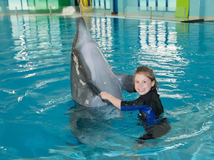 Dubai: Dubai Dolphinarium Dolphin, Seal & Bird Show Tickets - Booking Flexibility and Final Advice