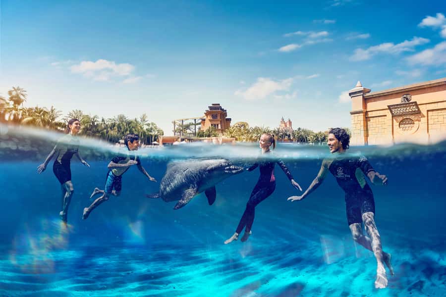Dubai: Swim with Dolphins at Atlantis Waterpark - Meeting Your Dolphin at Dolphin Bay