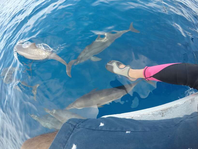 Dumaguete: Dolphin Watching & Manjuyod Sandbar Private Tour - The 6 AM Pickup and Road to Bais