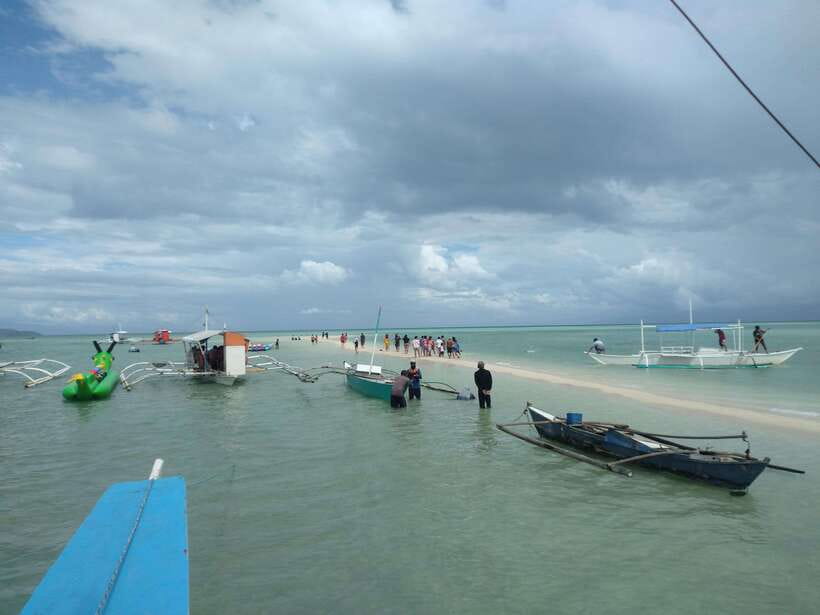 Dumaguete: Dolphin Watching & Manjuyod Sandbar Private Tour - What the $223 Private Rate Really Buys
