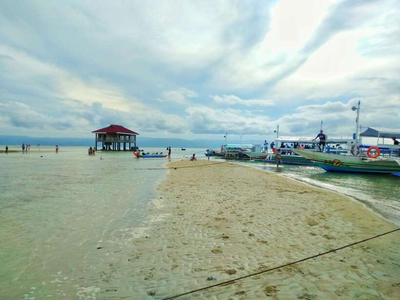 Dumaguete: Dolphin Watching & Manjuyod Sandbar Private Tour - Who Will Enjoy This Long Water Day