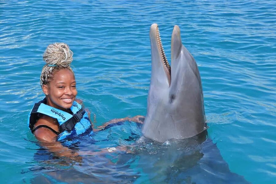 Dunn’s River Falls and Dolphin Cove Swim Adventure - Why this pairing works so well