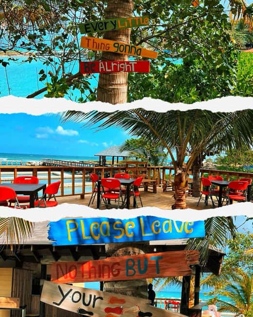 Dunn’s River Falls and Dolphin Cove Swim Adventure - Extra activities at Dolphin Cove