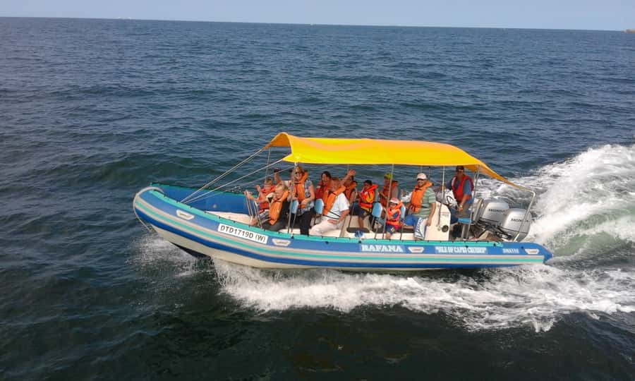 Durban: Durban: Whale and Dolphin Watching Boat Tour - Humpbacks from May to November
