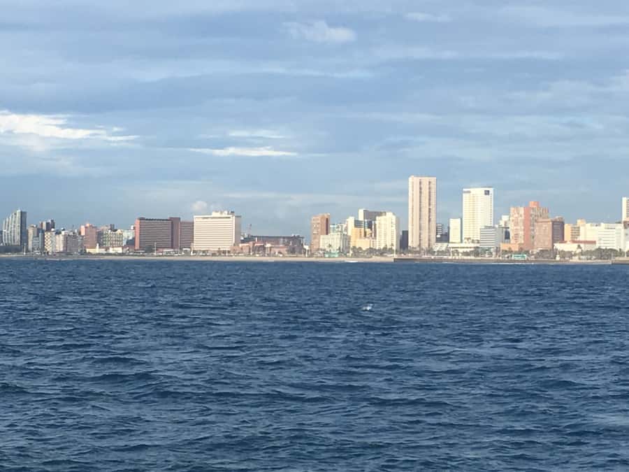 Durban: Durban: Whale and Dolphin Watching Boat Tour - Who will enjoy this Durban cruise?