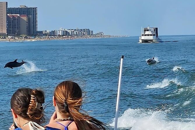 EARLY BIRD SPECIAL: Speed Boat & Dolphin Cruise in Ocean City, MD - Your best chance of seeing dolphins