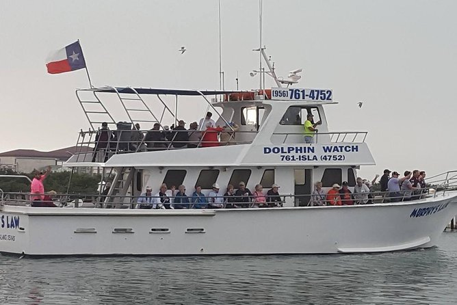 Eco and Dolphin Watch Tour of South Padre Island - The dolphin watch and what to look for