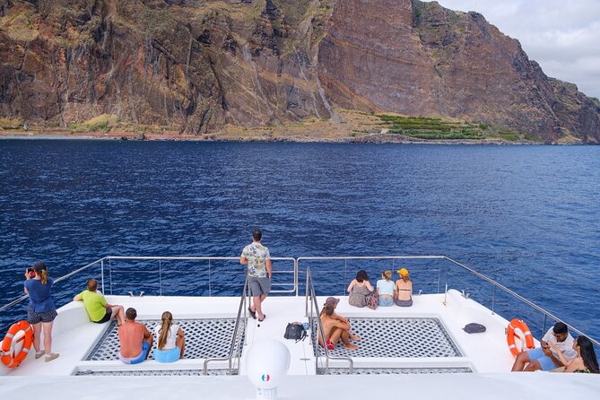 Eco-Friendly Catamaran Dolphin and Whale Watching - How the wildlife search works
