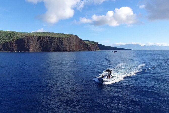 Eco-Raft Tour: Maui-Lanai Snorkel / Dolphin Watch (Semi-Private) - Choosing between the three tour options