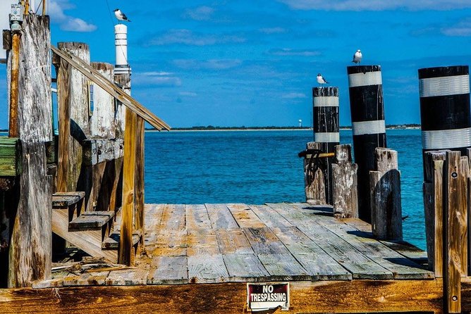 Egmont Key Snorkeling Dolphin Tour - Choosing your snorkeling spot