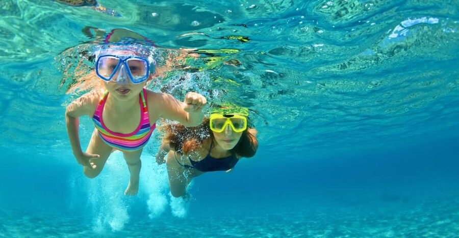 Emerald Coast: Afternoon Snorkel & Dolphin Tour - A Three-Hour Cruise With Two Good Reasons to Go