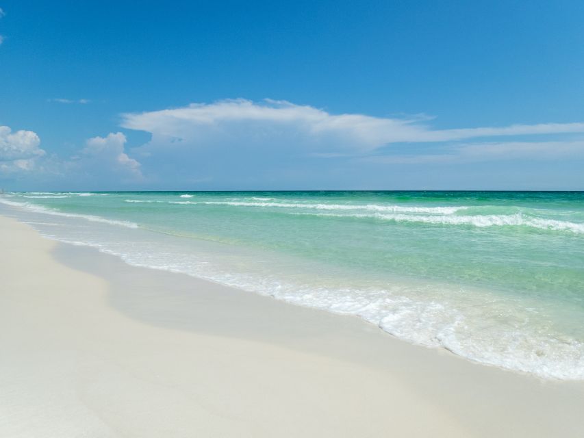 Emerald Coast: Afternoon Snorkel & Dolphin Tour - Leaving From Brooks Bridge in Fort Walton Beach